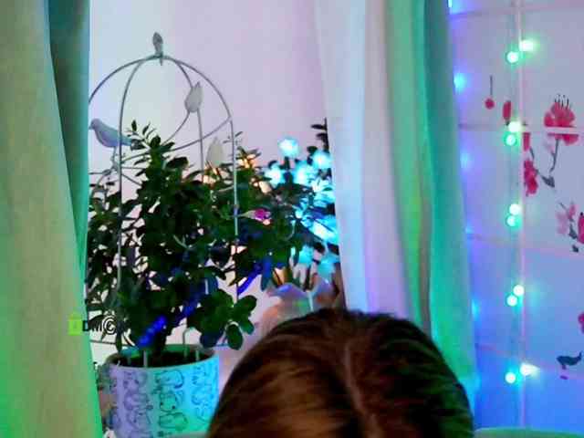-ANN webcam