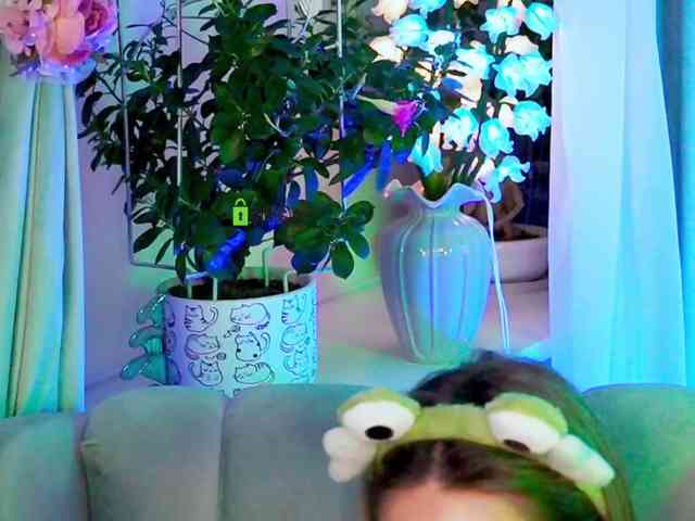 -ANN webcam