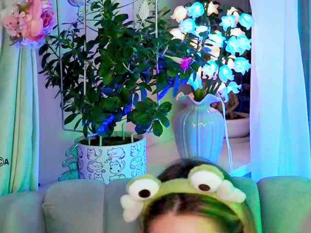 -ANN webcam