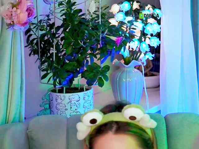 -ANN webcam