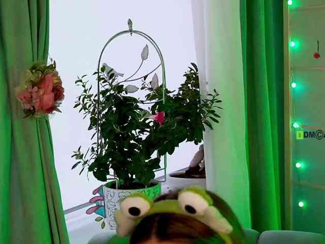 -ANN webcam