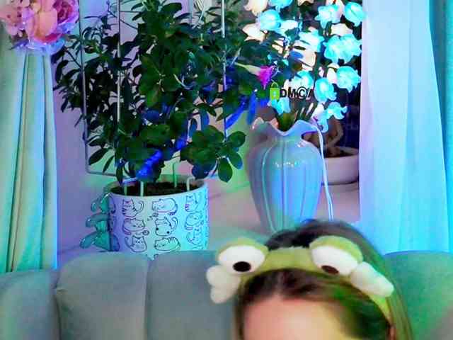 -ANN webcam