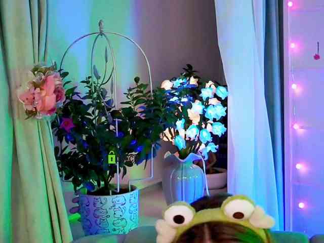 -ANN webcam