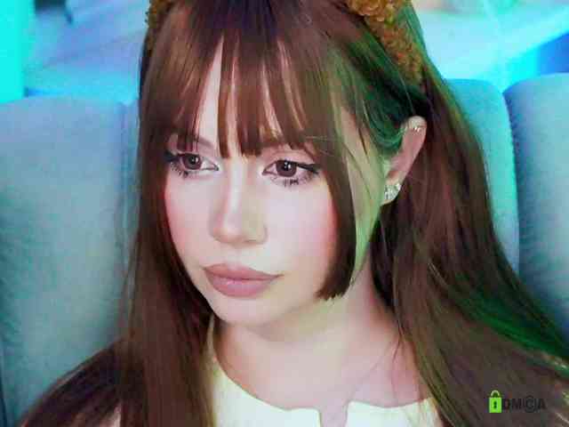 -ANN webcam