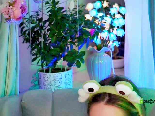 -ANN webcam