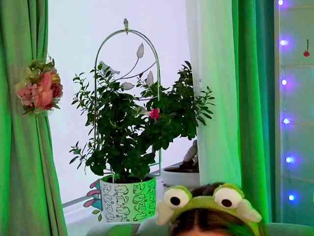 -ANN webcam