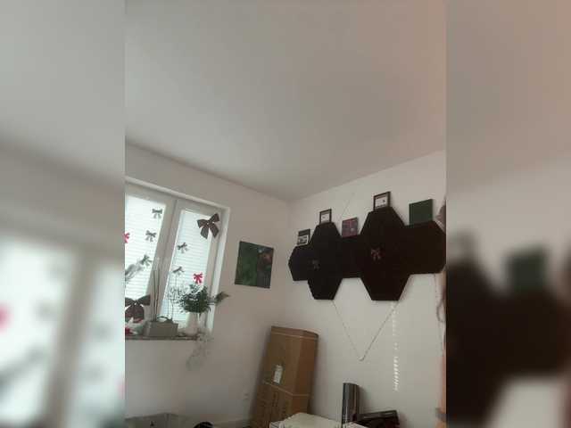 Accedi alla chat con il nickname Taanni Taanni