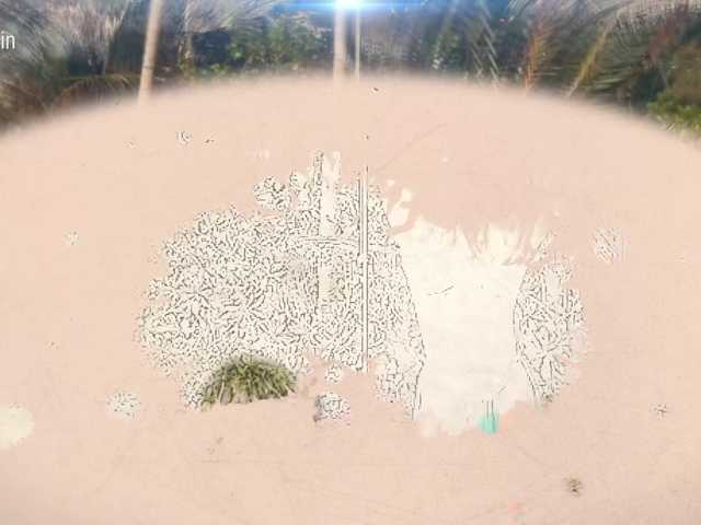 Accedi alla chat con il nickname Taanni Taanni