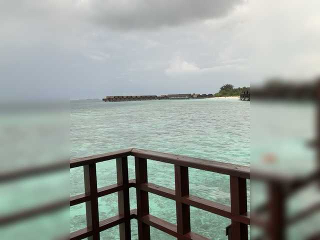 Entrez le videochat erotique avec le
modèle Taanni Taanni