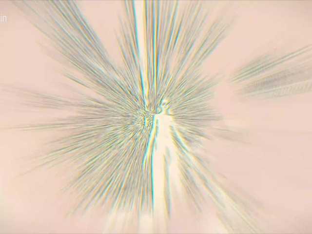 Vai a chattare su Taanni Taanni