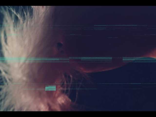 Vai a chattare su Taanni Taanni