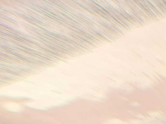 go to chat with Taanni