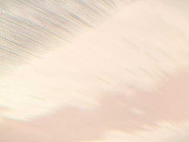 Idź na czacie Taanni Taanni