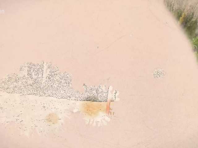 Accedi alla chat con il nickname Taanni Taanni