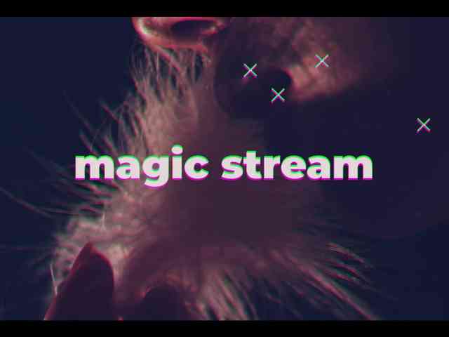 Taanni webcam