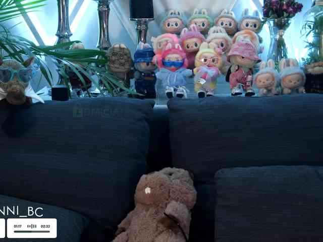 Taanni webcam