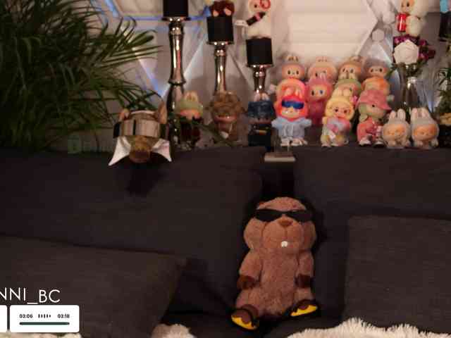 Taanni webcam