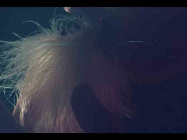 Taanni webcam