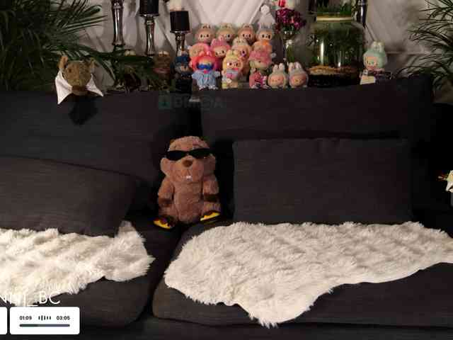 Taanni webcam