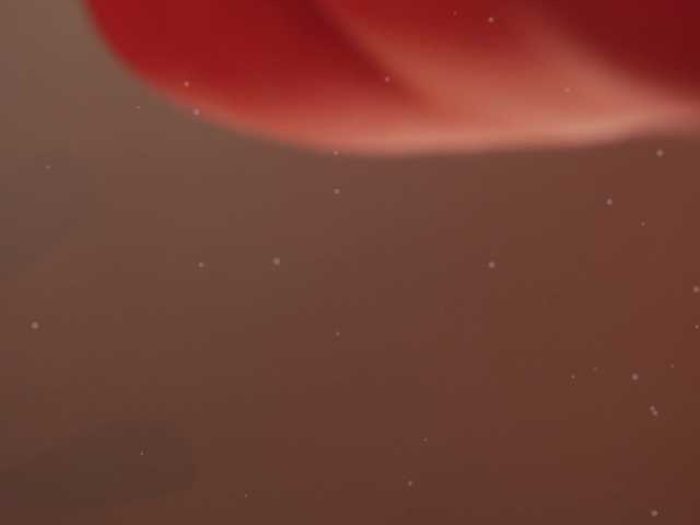 go to chat with KOTTYAA