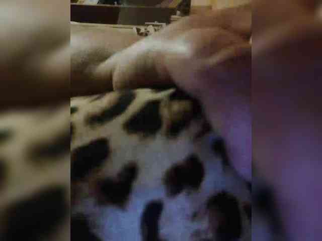 AthomeTi webcam