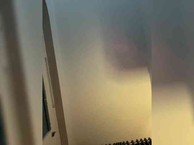 LittleDelora webcam
