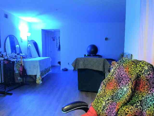 BellaBloom webcam