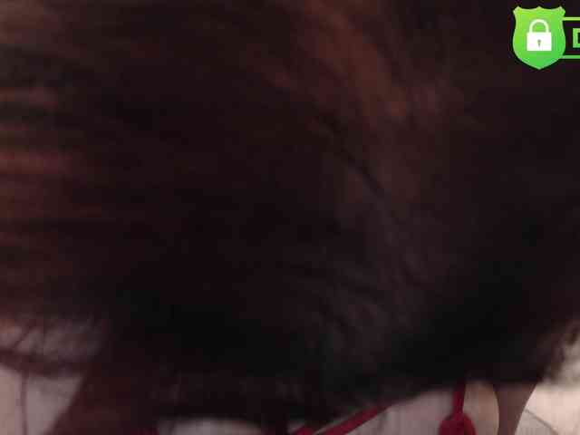 evatwiss webcam