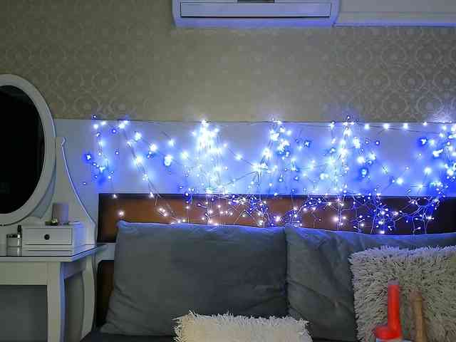 MiaBeeX webcam