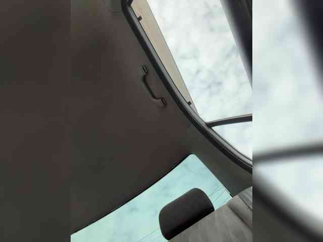 LedyMiya webcam