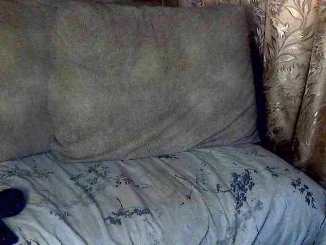 CuteGloria webcam