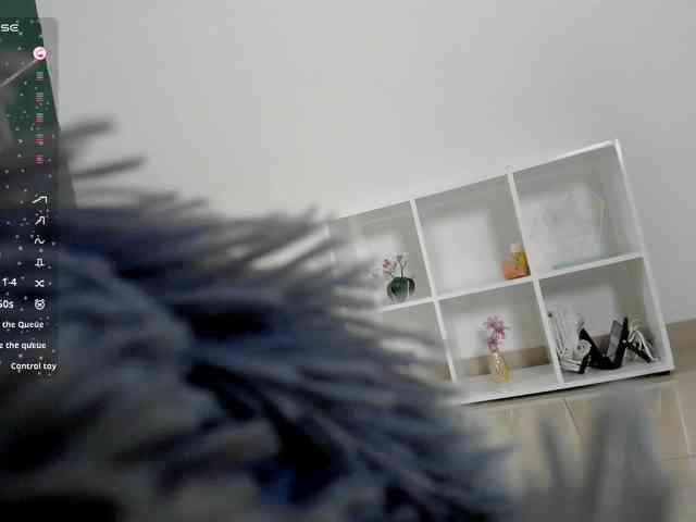 VeronicaLanz webcam