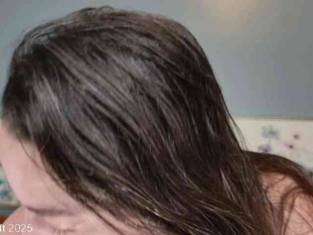 leiaswift webcam