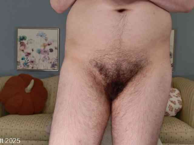 leiaswift webcam