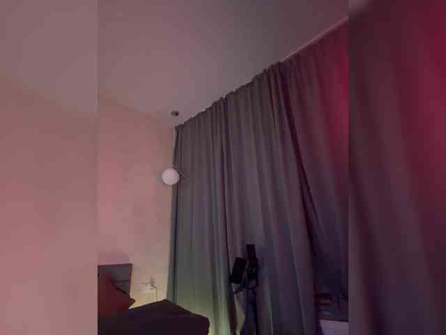 Vilgelmina webcam