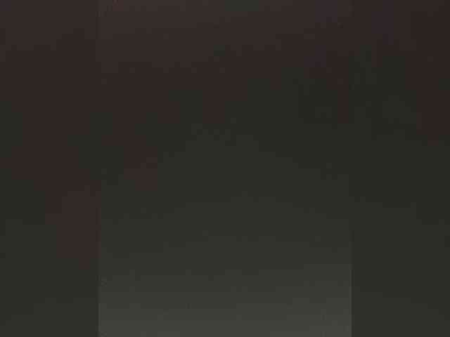 -Jolly- webcam