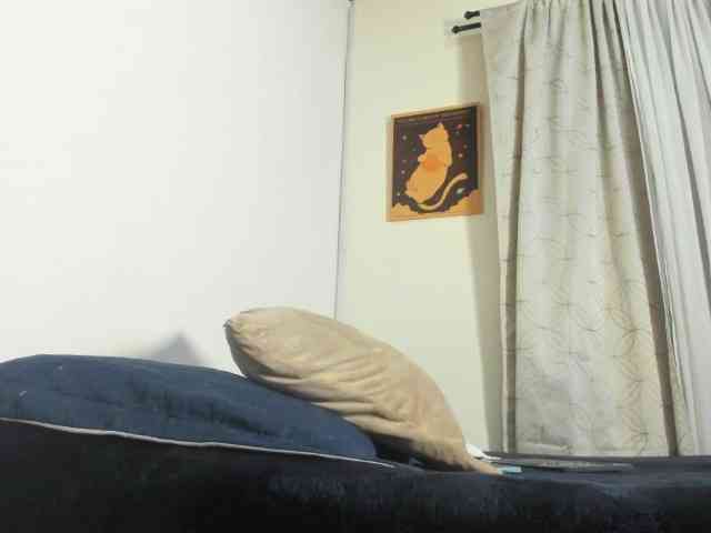 thebigpam webcam