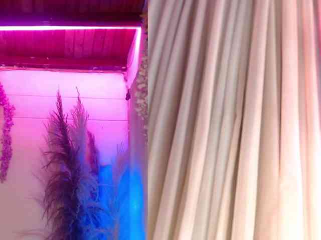 Aleja_Fox webcam