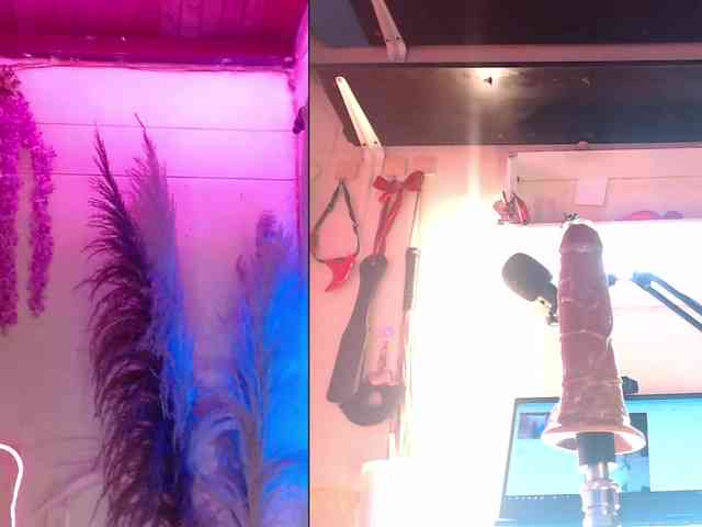 Aleja_Fox webcam