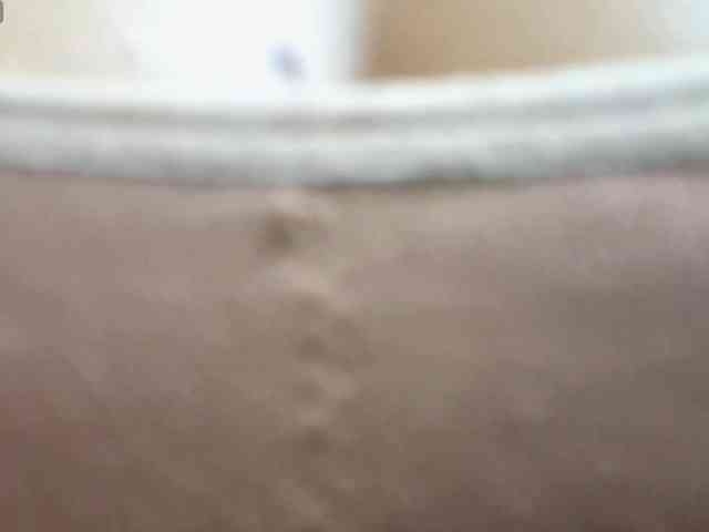 Nidhilove webcam
