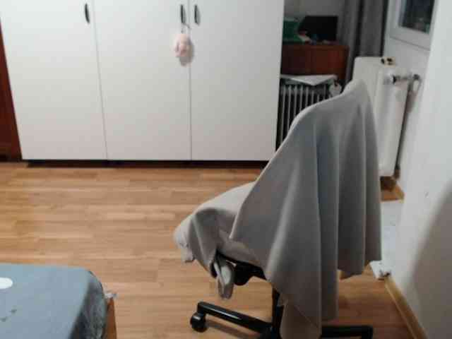 kristineexxx webcam