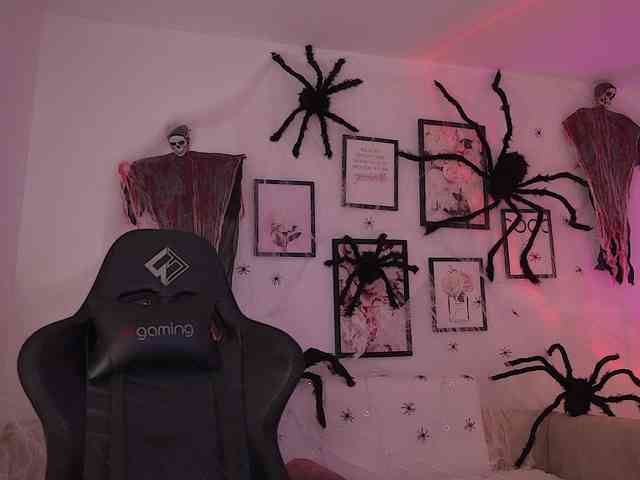 Melibahamon webcam