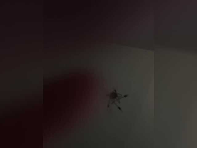 go to chat with sasiskaaa