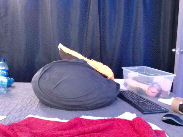 Lizhot2305 webcam