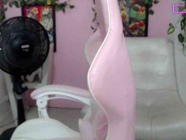 Evil-neighbor webcam