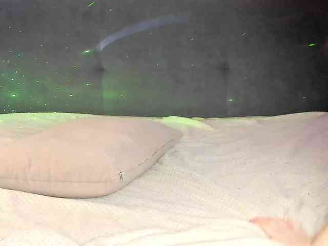 Eva-Merlin webcam