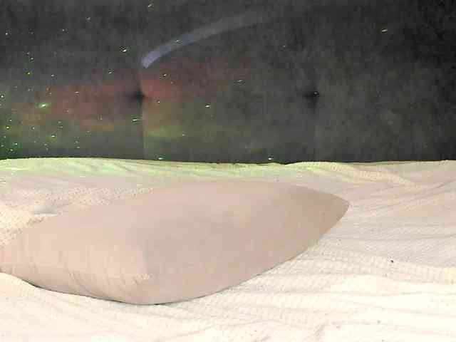Eva-Merlin webcam
