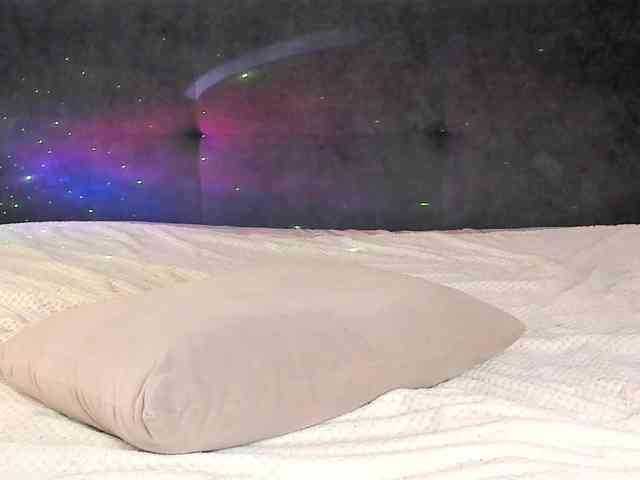 Eva-Merlin webcam