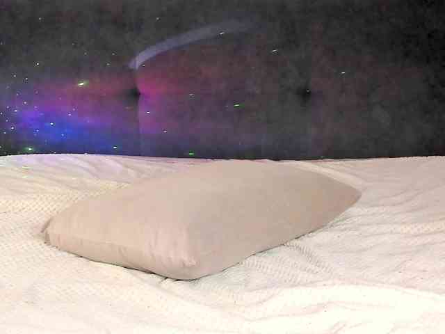 Eva-Merlin webcam