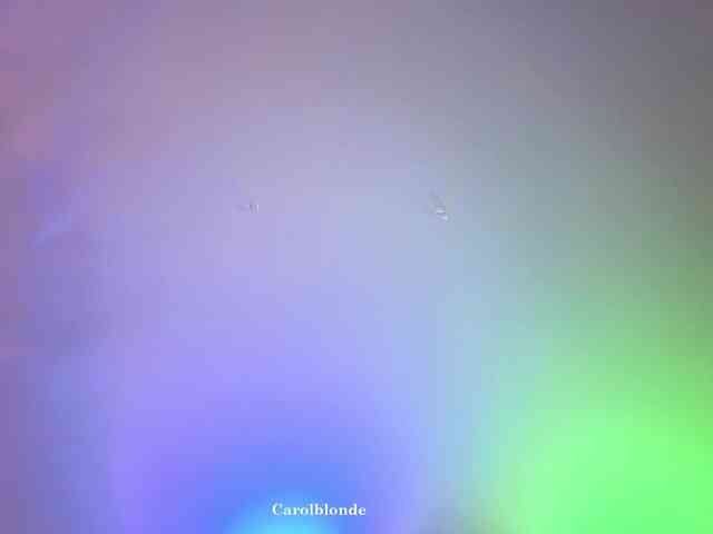 Carolblonde webcam